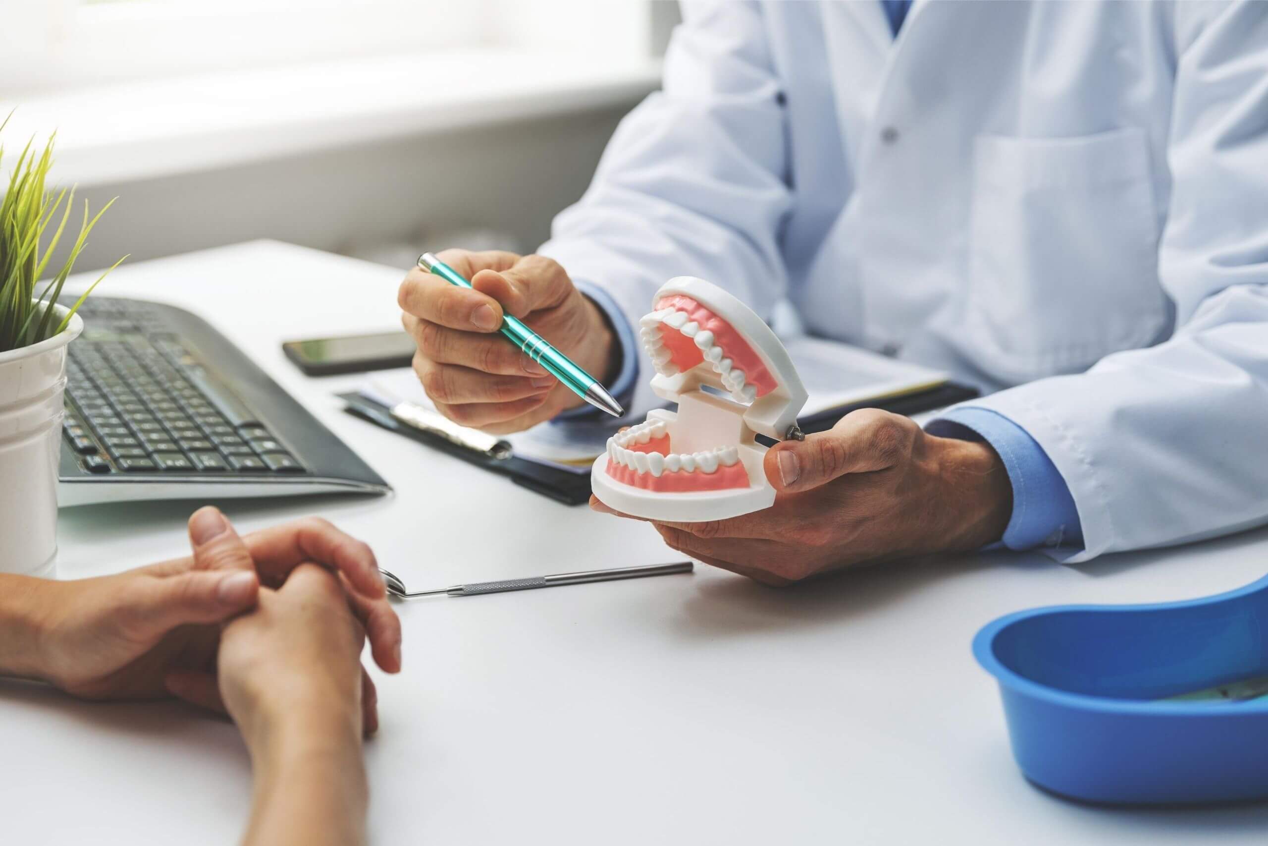 Dentist showing patient adult teeth