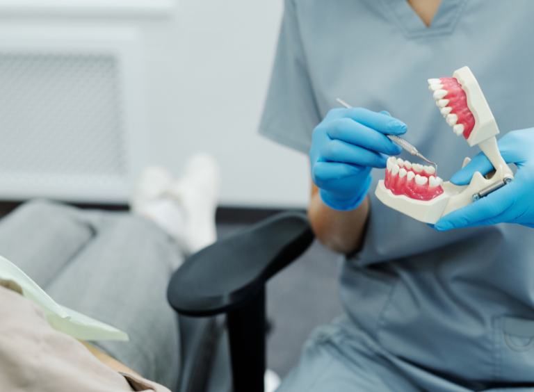 harwood dental practice, dentist performing check on a model mouth